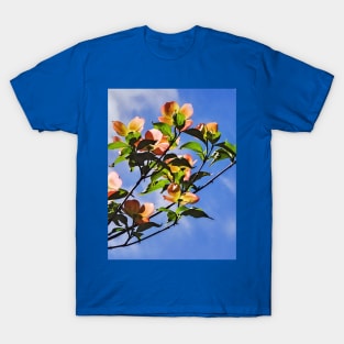 Pink Dogwood Against the Sky T-Shirt